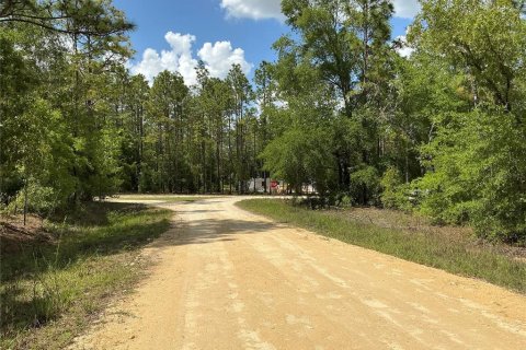 Land in Ocala, Florida № 1690306 - photo 5