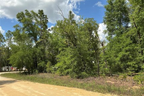 Land in Ocala, Florida № 1690306 - photo 2