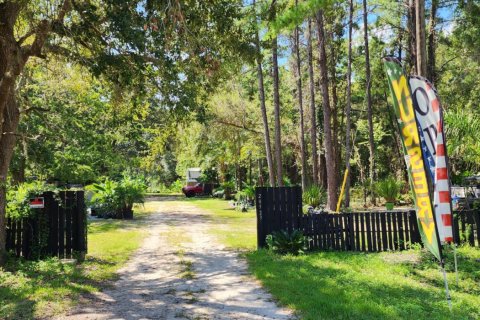 Land in Hawthorne, Florida № 770625 - photo 1