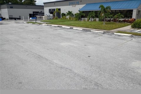 Immobilier commercial à vendre à Clearwater, Floride: 952.25 m2 № 1881035 - photo 9