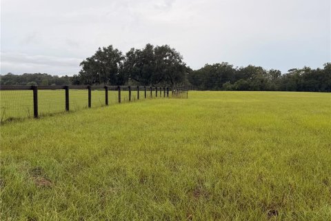 Terrain à vendre à Morriston, Floride № 2408313 - photo 2