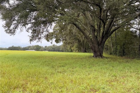 Terrain à vendre à Morriston, Floride № 2408313 - photo 4
