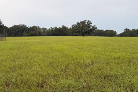 Terrain à vendre à Morriston, Floride № 2408313 - photo 3