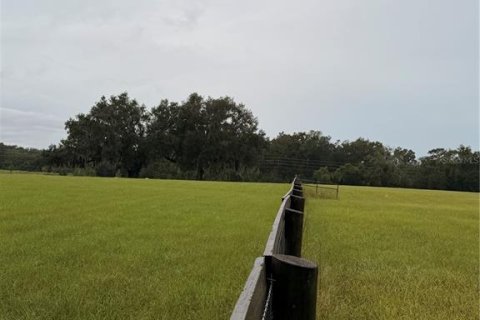 Terrain à Morriston, Floride № 2408313