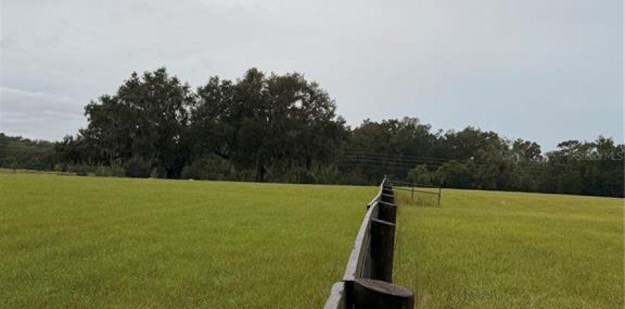 Terrain à Morriston, Floride № 2408313