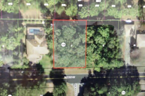 Land in Inverness, Florida № 2160103 - photo 2