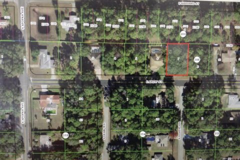 Land in Inverness, Florida № 2160103