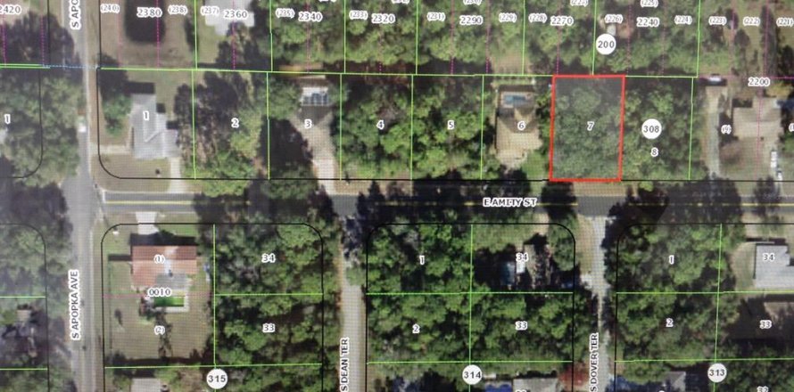 Land in Inverness, Florida № 2160103