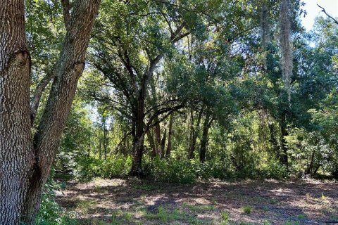 House in Wauchula, Florida 3 bedrooms, 186.18 sq.m. № 1873342 - photo 25