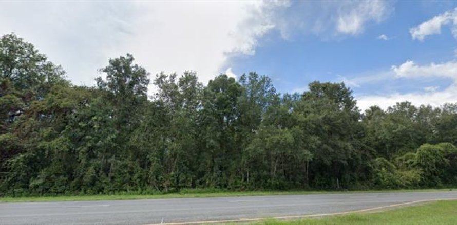 Terreno en Fanning Springs, Florida № 1555353