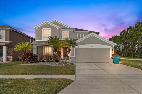 Villa ou maison à Wesley Chapel, Floride 4 chambres, 233.56 m2 № 2143608