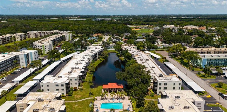 Condo in Saint Petersburg, Florida, 1 bedroom  № 2394217
