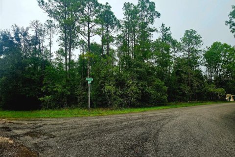Terrain à vendre à Dunnellon, Floride № 1445932 - photo 5