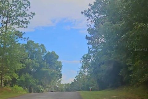 Terrain à vendre à Dunnellon, Floride № 1445932 - photo 6