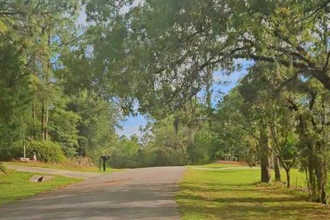 Terrain à vendre à Dunnellon, Floride № 1445932 - photo 7