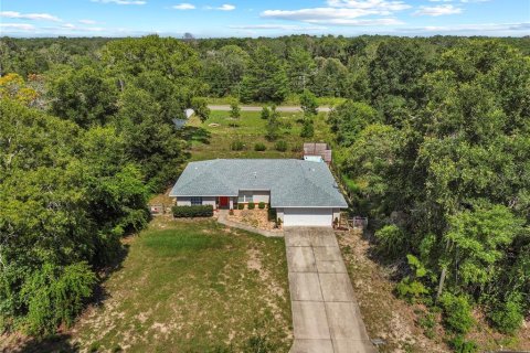 Villa ou maison à vendre à Ocklawaha, Floride: 3 chambres, 126.53 m2 № 1853713 - photo 3
