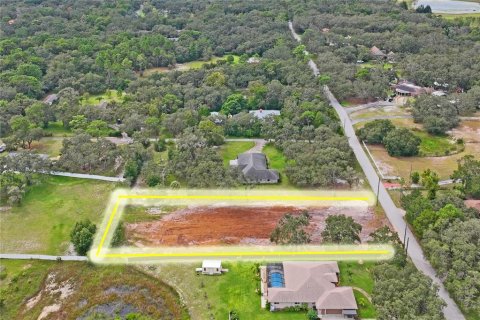 Terreno en venta en Hudson, Florida № 1521002 - foto 11