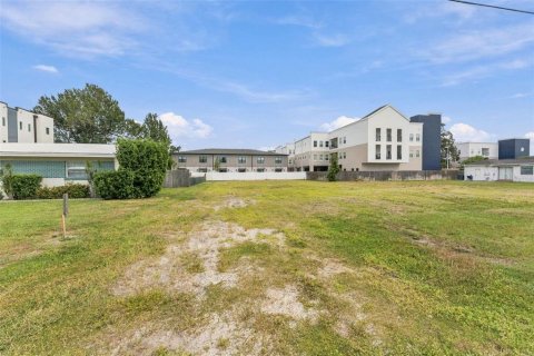 Land in Tampa, Florida № 2379180 - photo 20
