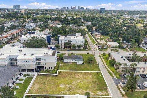 Land in Tampa, Florida № 2379180 - photo 11