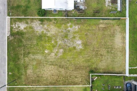 Land in Tampa, Florida № 2379180 - photo 18