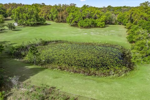 Commercial property in Fruitland Park, Florida 168.9 sq.m. № 1593586 - photo 18