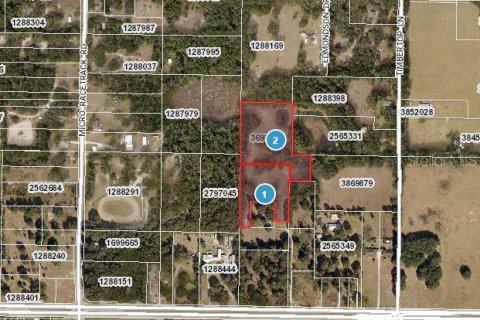 Commercial property in Fruitland Park, Florida 168.9 sq.m. № 1593586 - photo 21