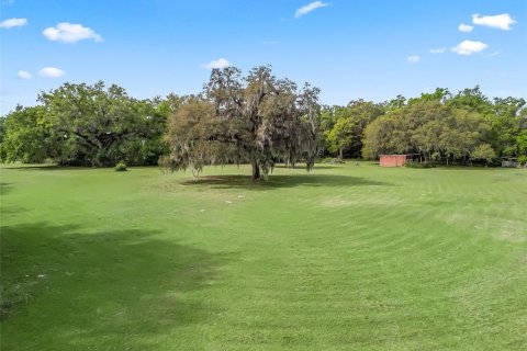 Commercial property in Fruitland Park, Florida 168.9 sq.m. № 1593586 - photo 7