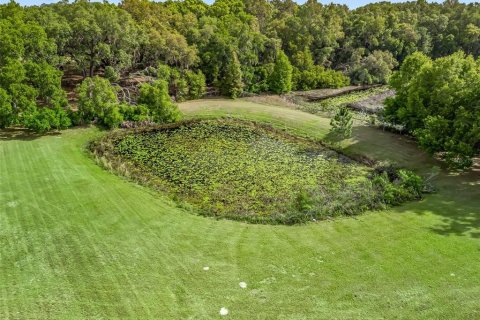 Commercial property in Fruitland Park, Florida 168.9 sq.m. № 1593586 - photo 17