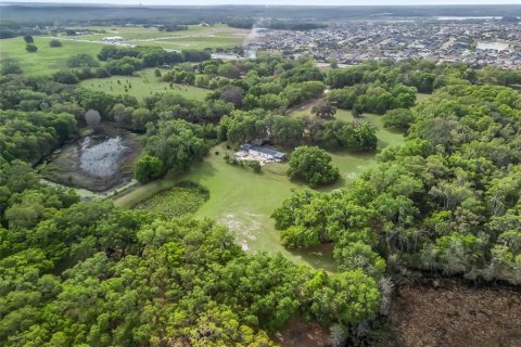 Commercial property in Fruitland Park, Florida 168.9 sq.m. № 1593586 - photo 19