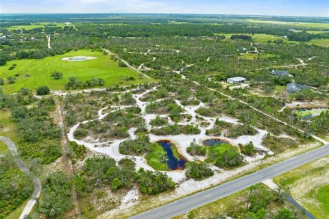 Land in Myakka City, Florida № 1876949 - photo 3