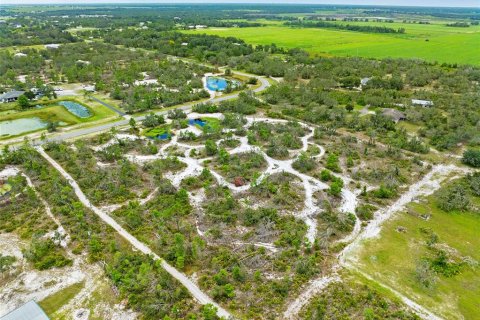 Land in Myakka City, Florida № 1876949 - photo 4