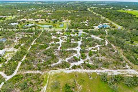 Land in Myakka City, Florida № 1876949 - photo 6