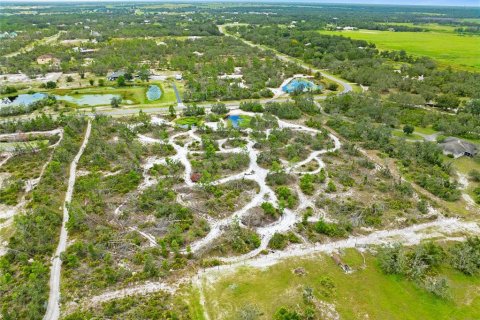 Land in Myakka City, Florida № 1876949 - photo 5
