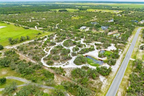 Land in Myakka City, Florida № 1876949 - photo 10