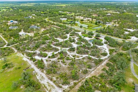 Land in Myakka City, Florida № 1876949 - photo 8