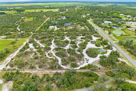 Land in Myakka City, Florida № 1876949 - photo 9