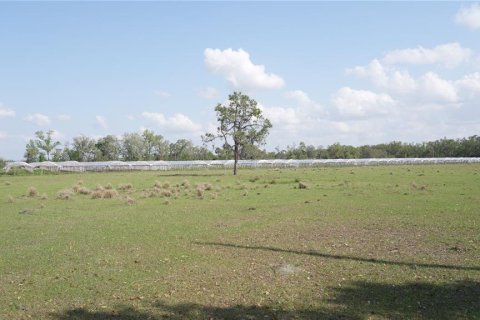 Land in Wimauma, Florida № 1582566 - photo 1