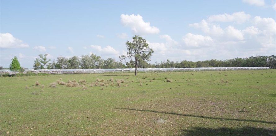 Land in Wimauma, Florida № 1582566