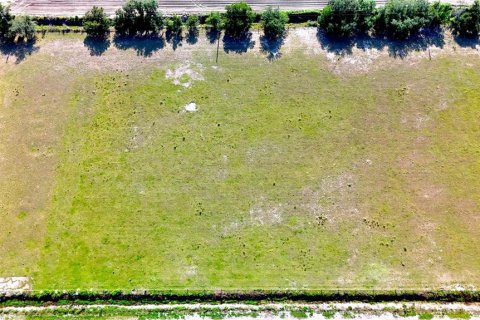 Land in Wimauma, Florida № 1582566 - photo 3