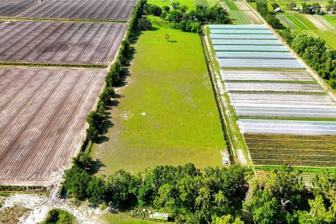 Land in Wimauma, Florida № 1582566 - photo 7