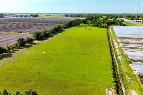 Land in Wimauma, Florida № 1582566 - photo 4