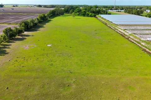 Land in Wimauma, Florida № 1582566 - photo 2