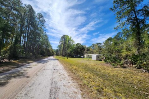 Land in Georgetown, Florida № 2160664 - photo 5