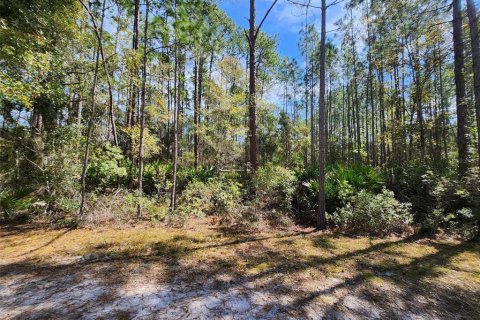 Land in Georgetown, Florida № 2160664 - photo 3