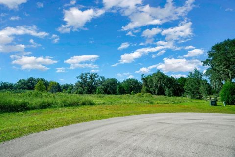 Terreno en venta en Morriston, Florida № 1420595 - foto 15
