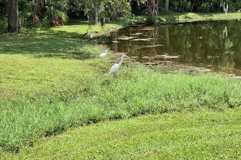 Copropriété à louer à New Port Richey, Floride: 2 chambres, 160.54 m2 № 1912733 - photo 7