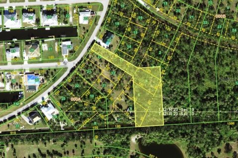 Terrain à Punta Gorda, Floride № 2115124