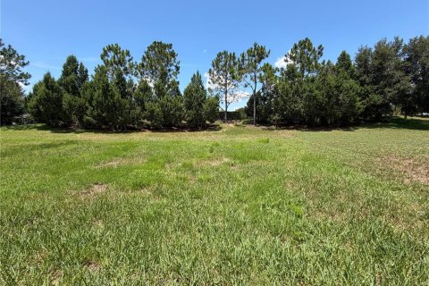 House in Davenport, Florida 3 bedrooms, 185.8 sq.m. № 2151400 - photo 9