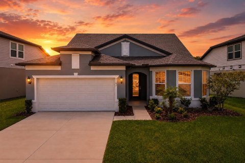House in Wesley Chapel, Florida 4 bedrooms, 254.18 sq.m. № 2124732