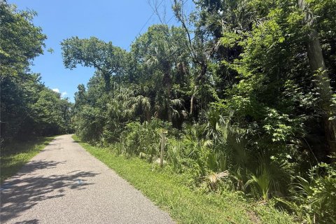 Land in Oviedo, Florida № 1755601 - photo 11